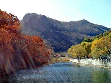 大三巴一肖二码最准，中式快餐店排名